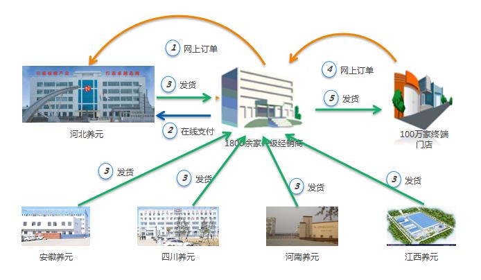 养元六个核桃1.jpg